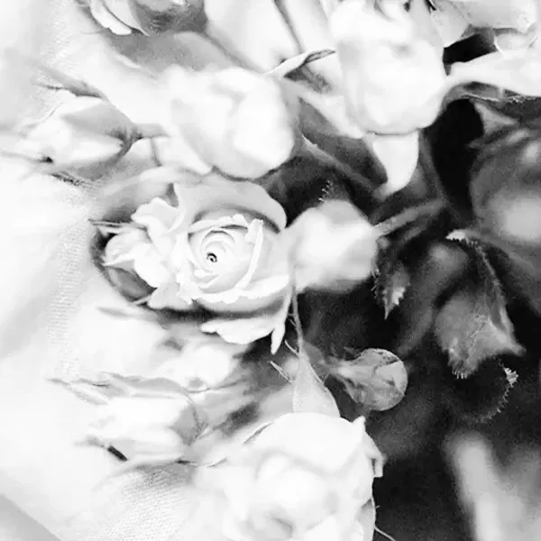Rose utilizzate nelle composizioni floreali per funerali